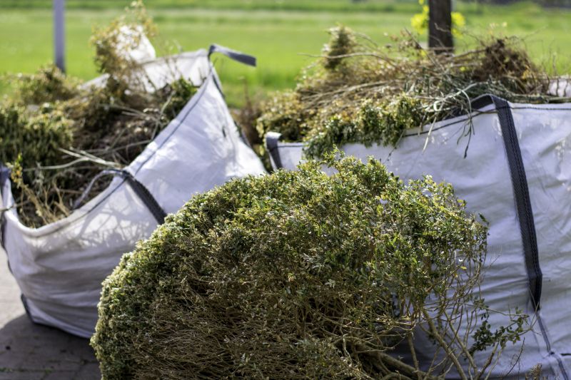 Brush Clearing Service in Salt Lake City, UT