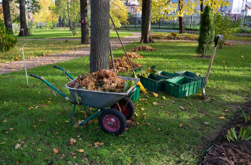 Pool Land Clearing in Salt Lake City, UT